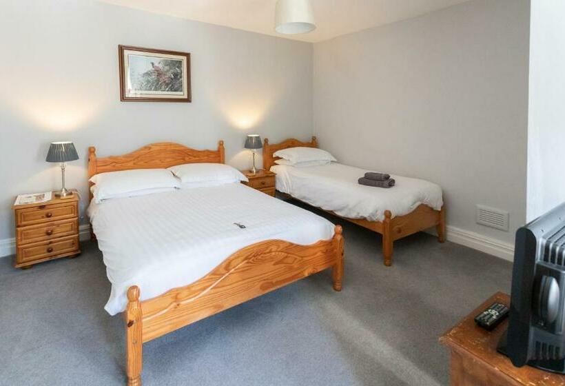 Номер Стандарт Трехместный, Ashleigh House   Room Only