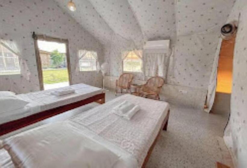 Standard Tent, Sonai Nameri