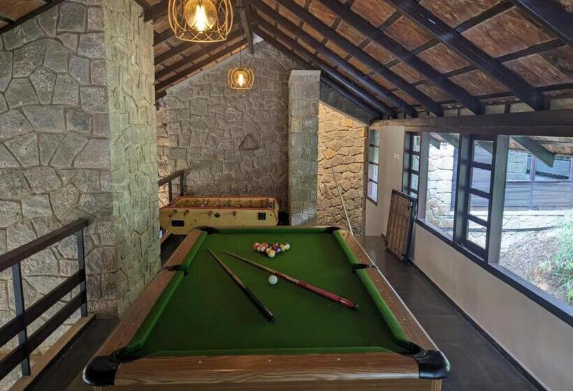 Номер Стандарт, Avadale Munnar