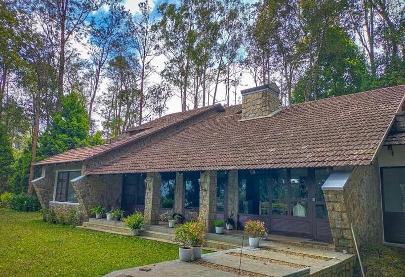 Номер Superior, Avadale Munnar