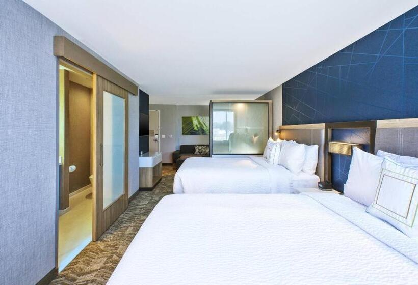 Номер Стандарт, Springhill Suites By Marriott St. Joseph Benton Harbor