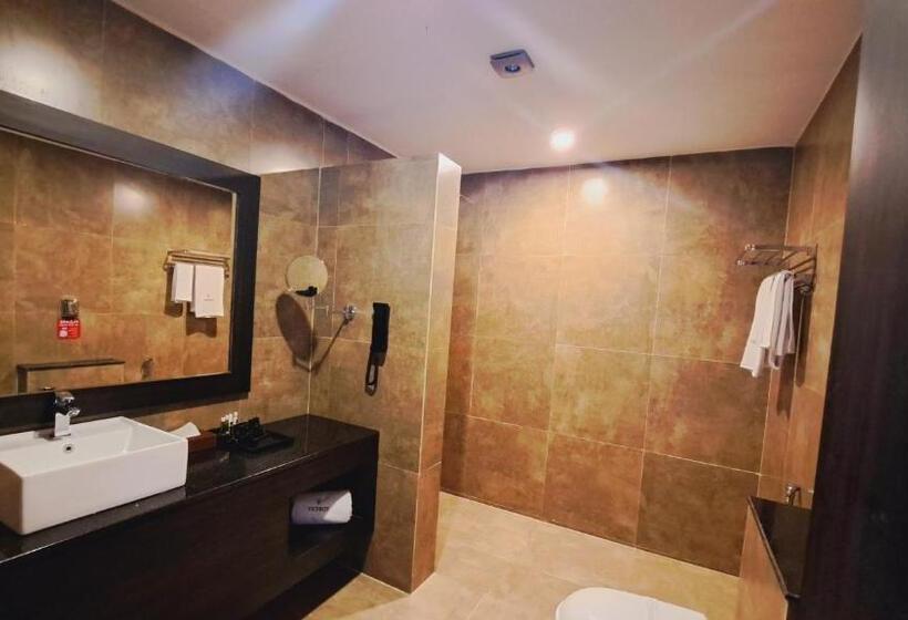 Номер Премиум, Viceroy Luxury Mountain Resort And Spa