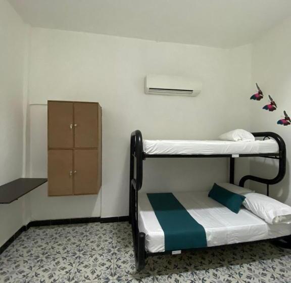 浴室共有スタンダード４人用ルーム, Believer Hostel