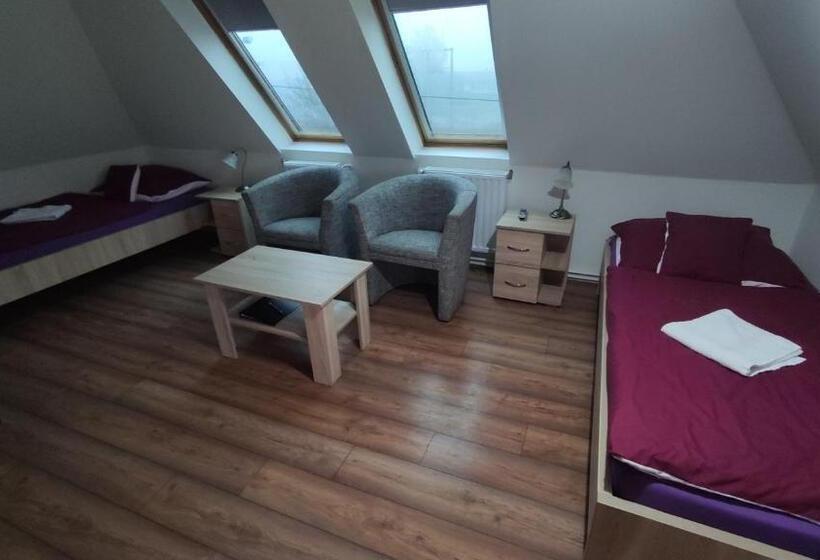 Номер Стандарт, Tisza Panzió és Apartman