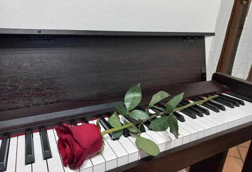 اتاق استاندارد, B&b Rose Osimo