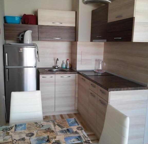 １ベッドルームアパートメント, Apartment Diamond Sarafovo
