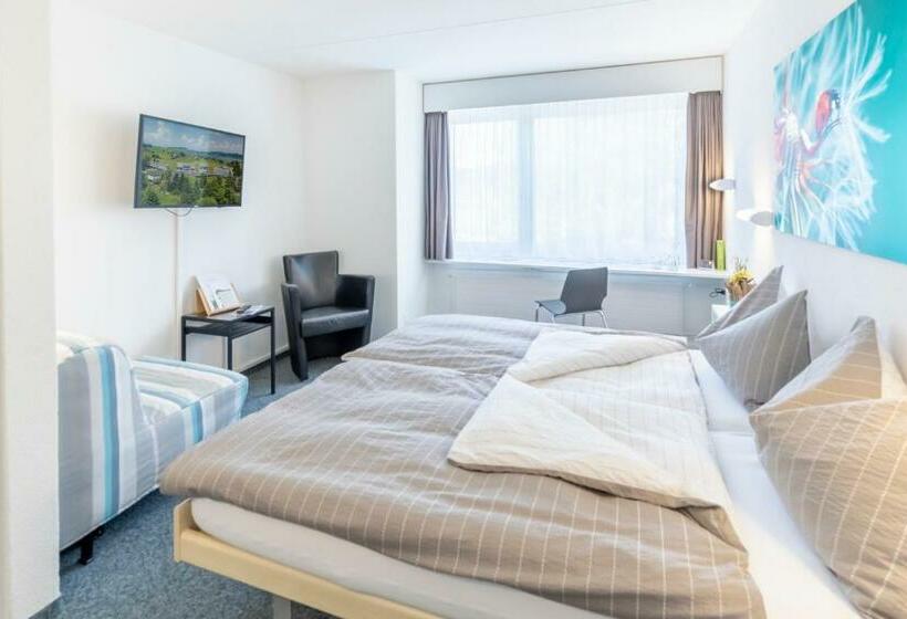Quarto Triplo Estandar, Allegro Einsiedeln