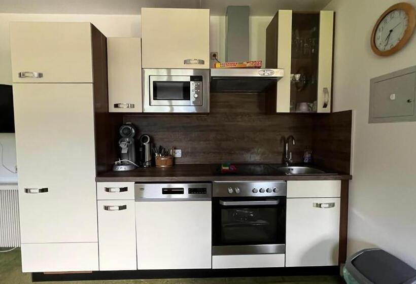 침실 1개 아파트, Haus Brandeck