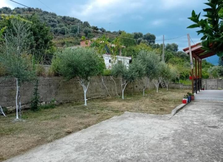 اتاق لوکس, Guest House Irvin