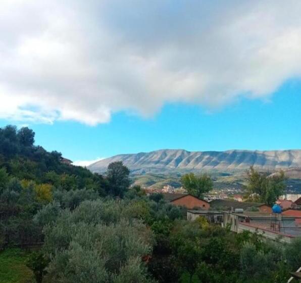 اتاق لوکس, Guest House Irvin