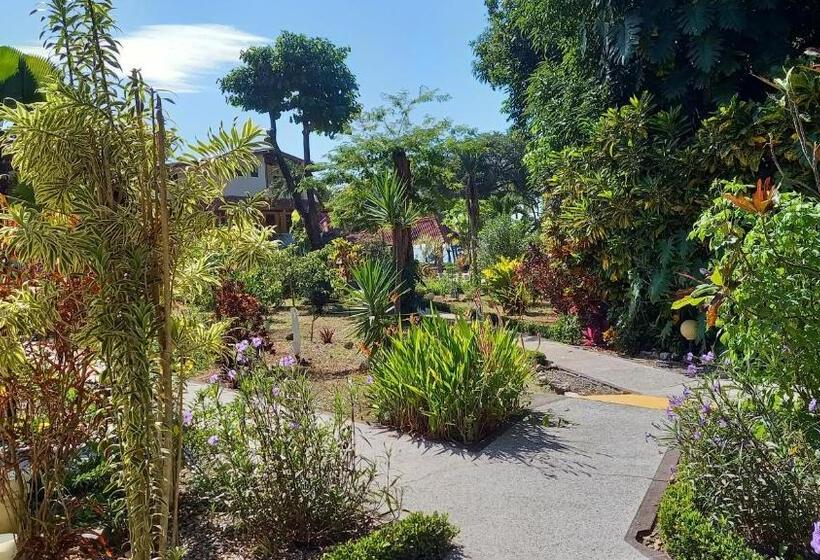 اتاق استاندارد, Las Brisas Del Pacifico