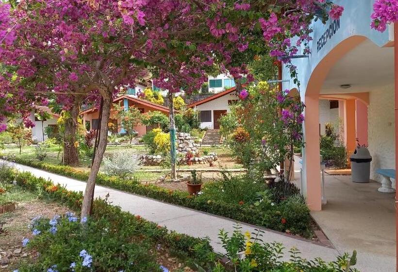 اتاق استاندارد با تراس, Las Brisas Del Pacifico