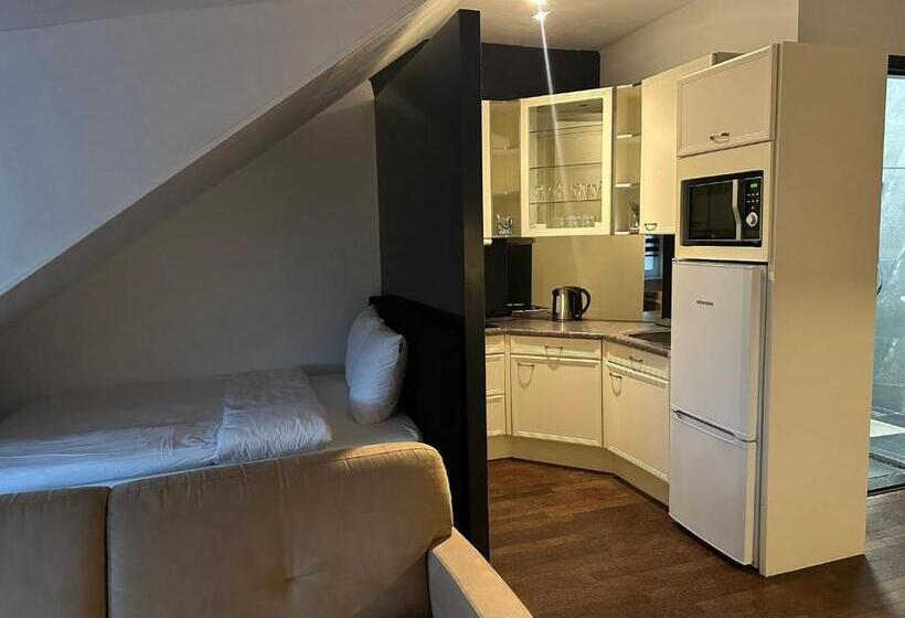 اتاق اکونومی, B&b Santorini Maasbree