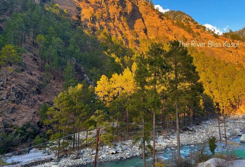 스탠다드 룸 킹사이즈 침대, Mid Orchard Kasol L River Side  Pure Veg Hotel In Kasol