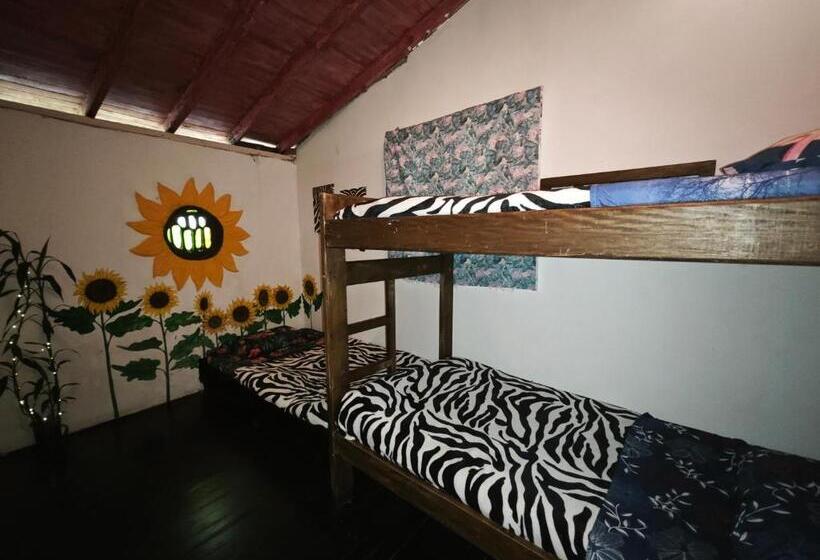 Люкс, Eco Hostal Tierra De Agua Y Fuego