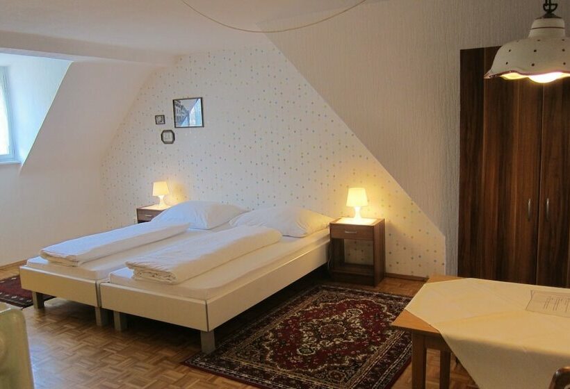 Номер Стандарт Совместная Ванная, Pension Sonne Bed & Breakfast