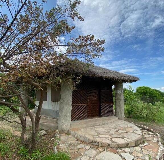 اتاق استاندارد یک نفره, Eco Mara Tented Camp