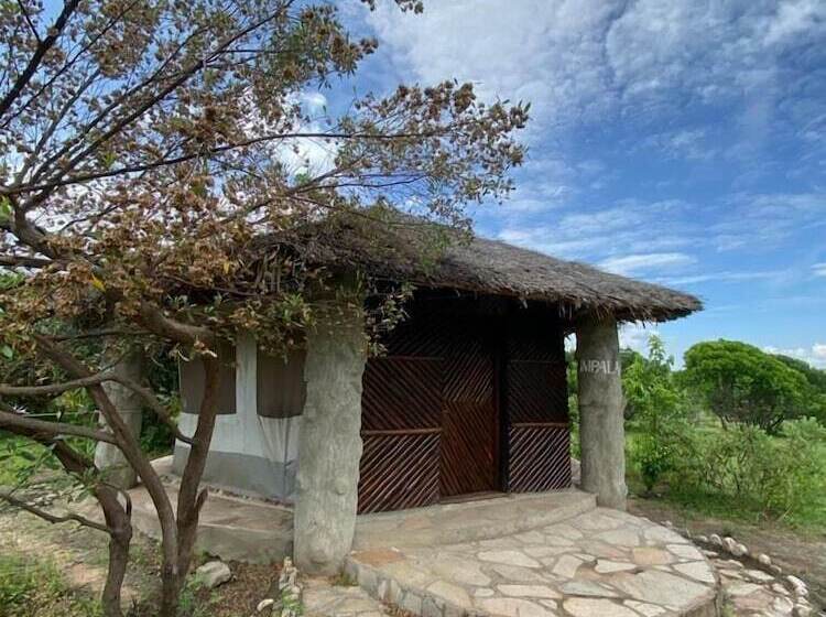 اتاق استاندارد یک نفره, Eco Mara Tented Camp