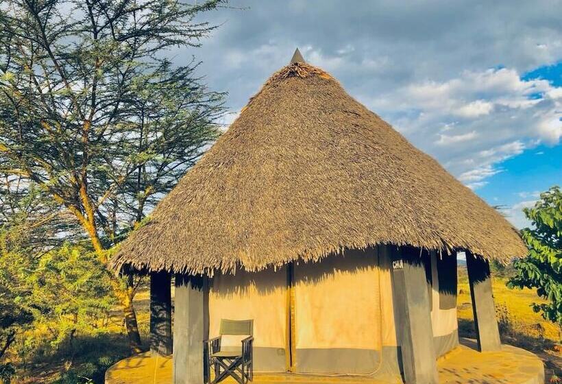 اتاق استاندارد یک نفره, Eco Mara Tented Camp