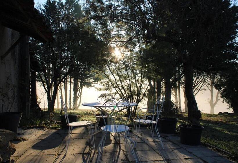 Номер Стандарт с Террасой, Domaine De Calabel