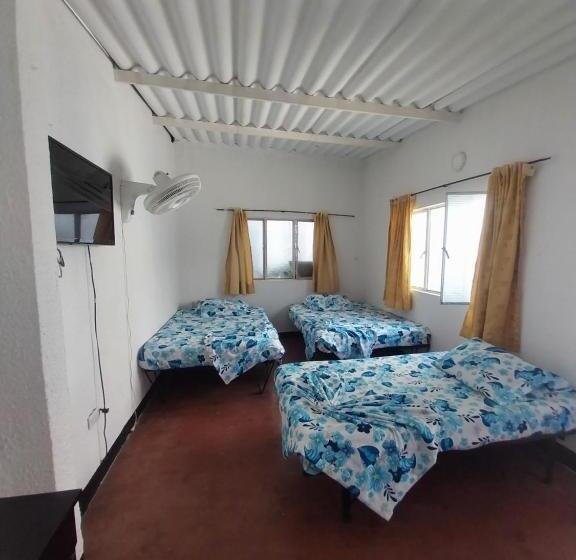 اتاق استاندارد سه نفره, Guaipa