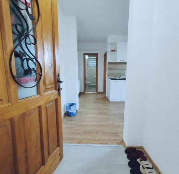 آپارتمان 1 خوابه با تراس, Apartments Planinski Raj
