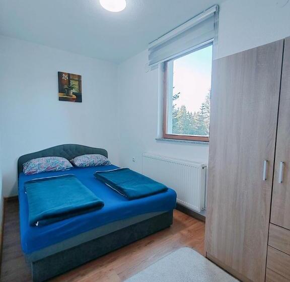 آپارتمان 1 خوابه با تراس, Apartments Planinski Raj