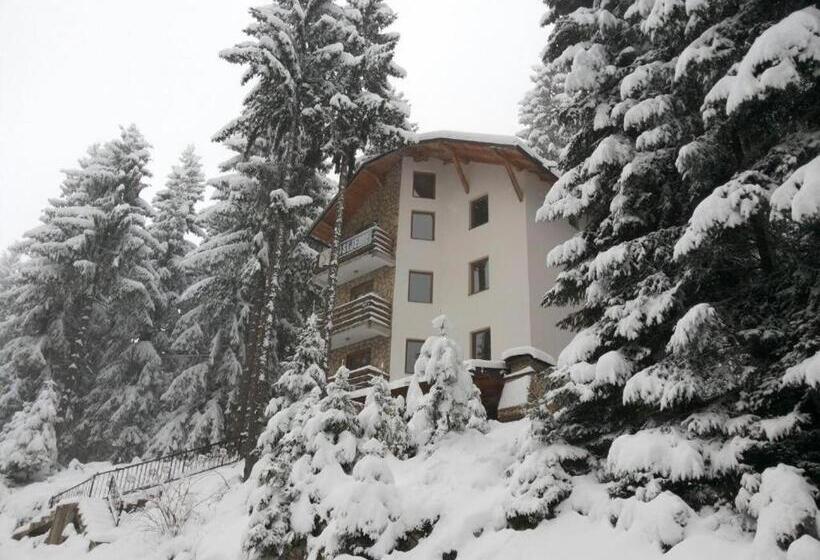 آپارتمان 1 خوابه با بالکن, Apartments Planinski Raj