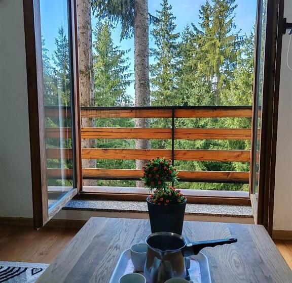 آپارتمان 1 خوابه با تراس, Apartments Planinski Raj