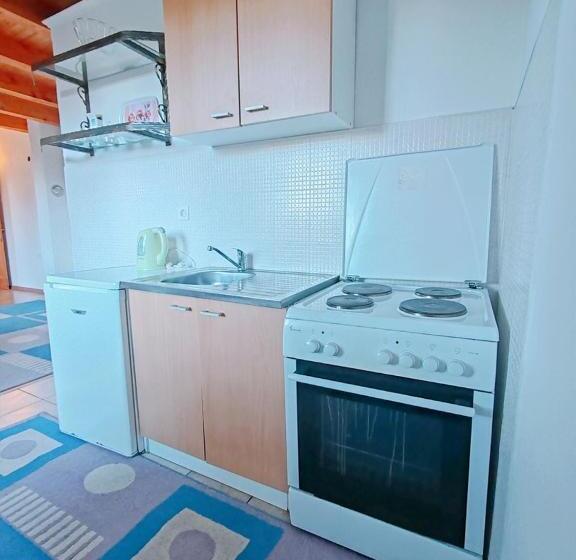 آپارتمان 1 خوابه با بالکن, Apartments Planinski Raj