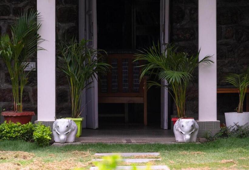 豪华房间, House Of Hive, Gethiya