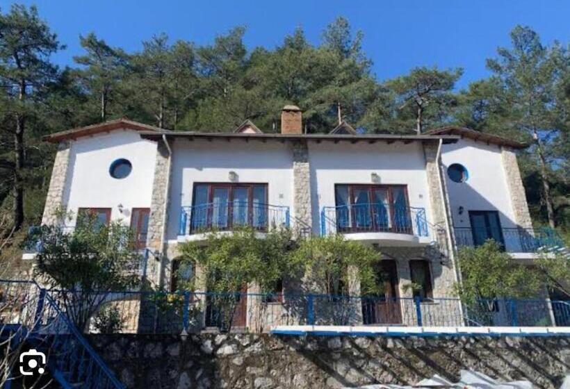 شقة غرفة واحدة, Alp Inn Butik Apart Ve Restoran