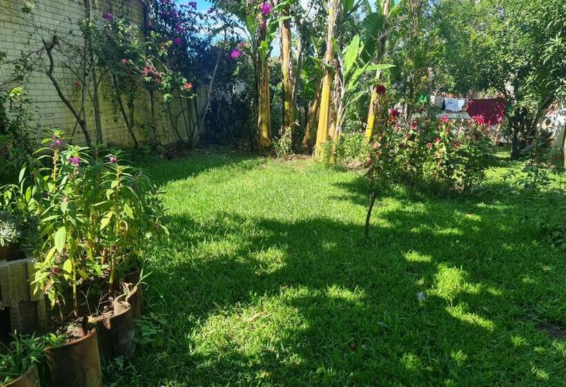Номер Стандарт, Quinta San Juan, Lago De Coatepeque