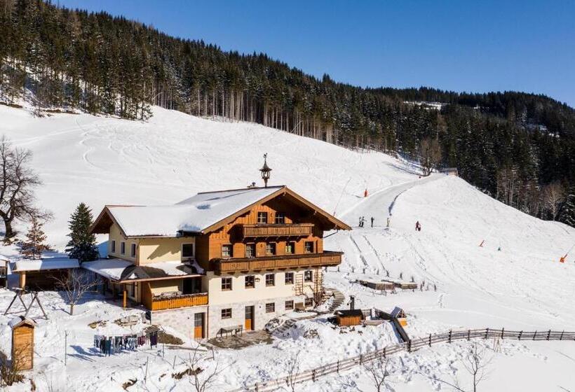 Апартаменты 2 Спальни, Mönchsberghof