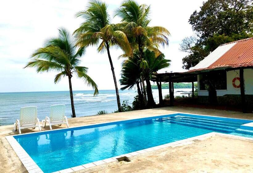 풀장 전망 스위트, Oceanfront Bungalows   Paradise Rentals