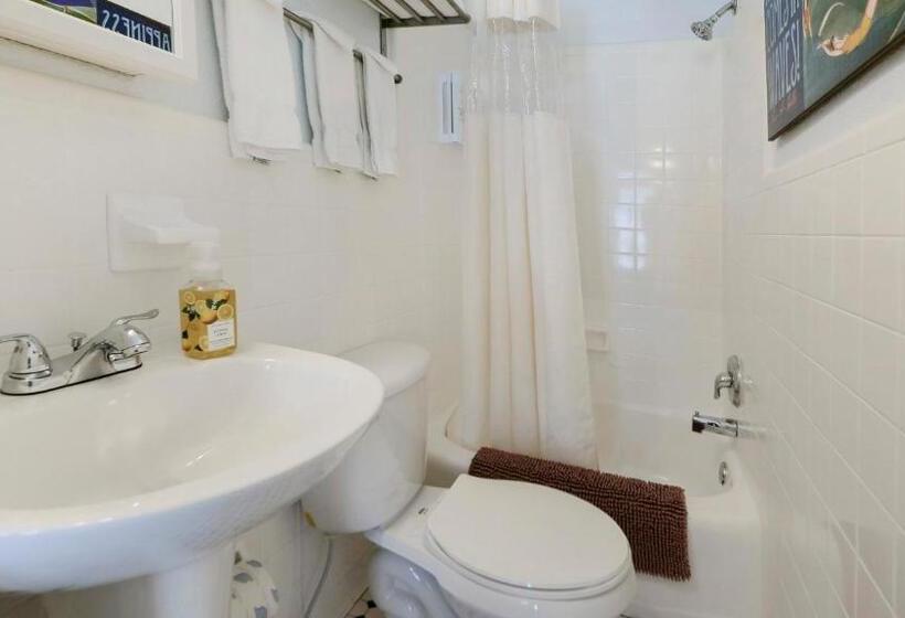Студия Deluxe, Coconut Inn Passagrille Beach