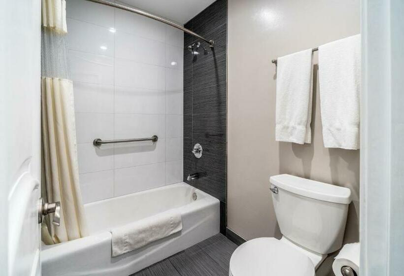 스탠다드 룸 킹사이즈 침대, Friendly Hills Inn