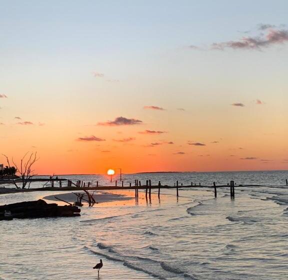 سوییت لوکس, Tamar Holbox Hotel By Laisla Holbox Group