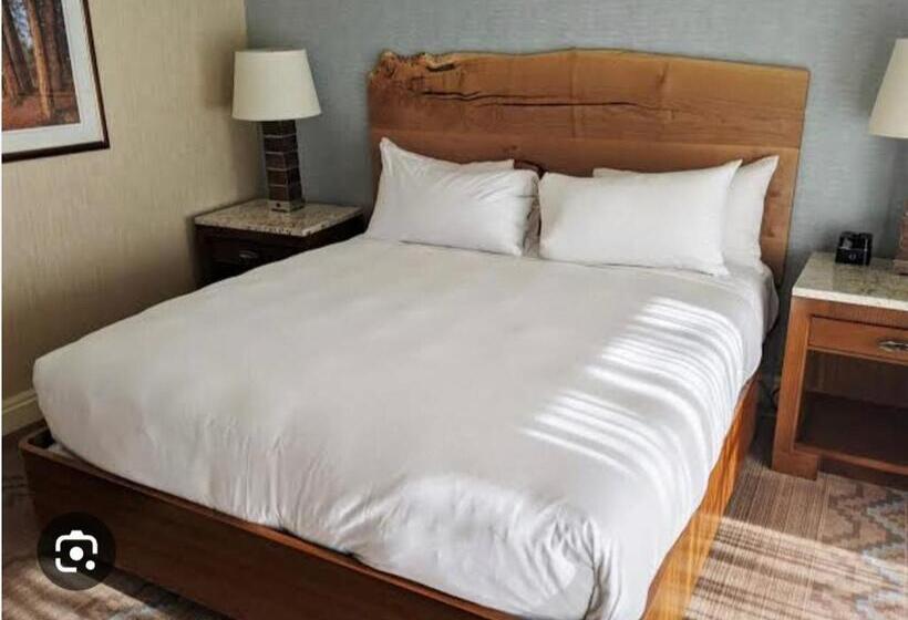 اتاق استاندارد, Good Day Hotel Alwar