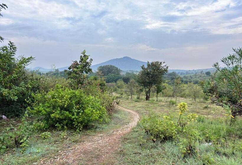 Номер Deluxe, Ivory Daze Jungle Adventure Homestay