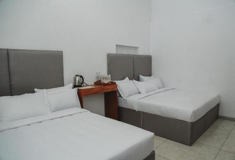 اتاق سوپریور خانوادگی, Omenco