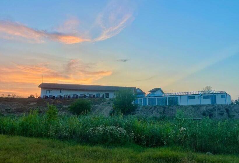 اتاق استاندارد با تخت بزرگ, Delta View