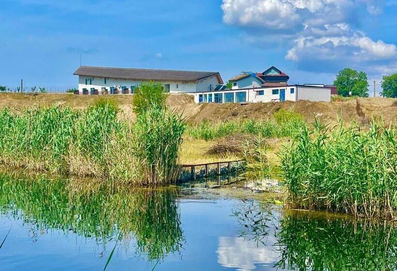 اتاق استاندارد با تخت بزرگ, Delta View