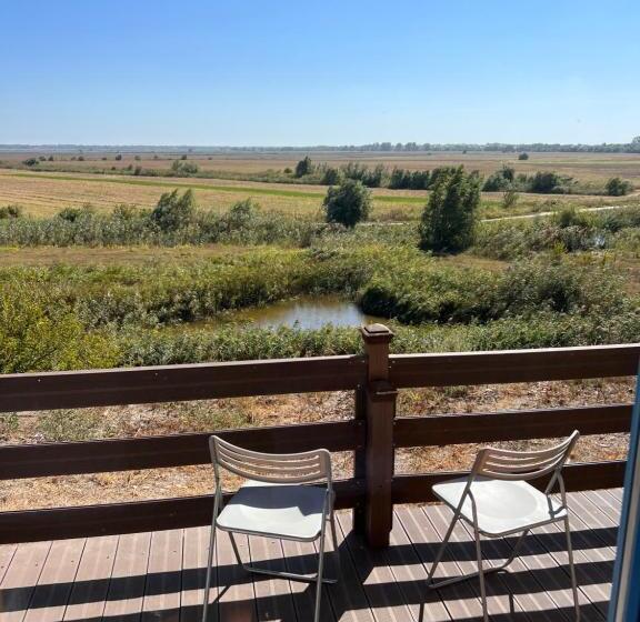 اتاق استاندارد با تخت بزرگ, Delta View