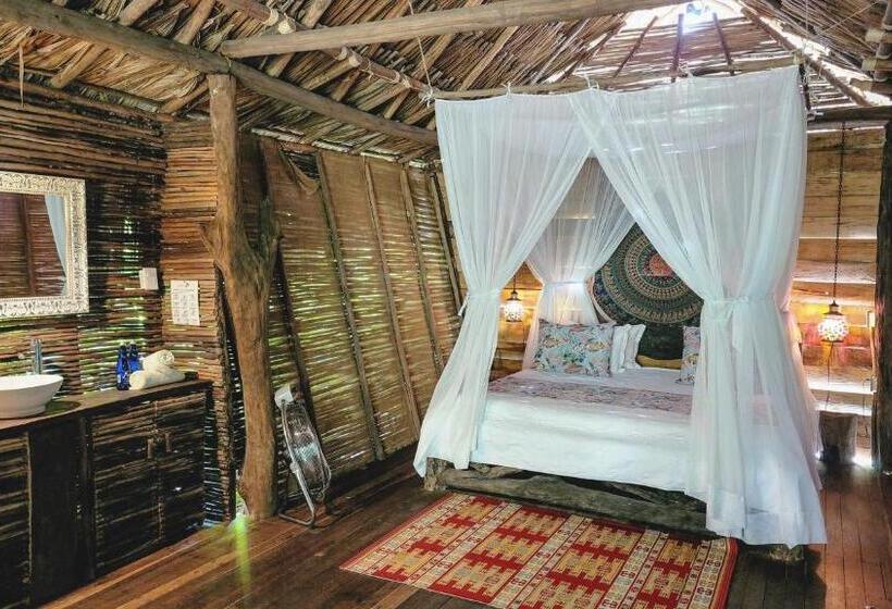 Номер Deluxe, Nátural Eco