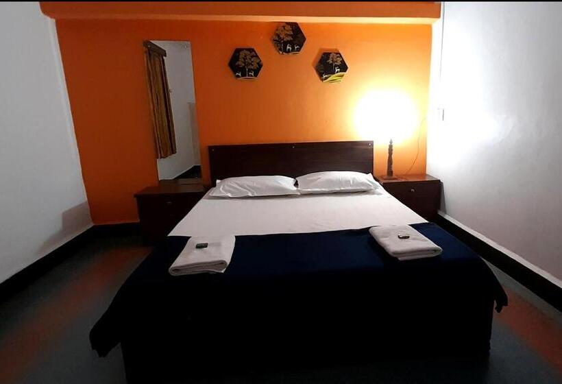 Номер Deluxe, Parvati Palace