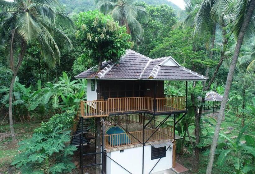 Шале 1 Спальня, The Tree Organic Farm And Stay   Non Alcoholic Property