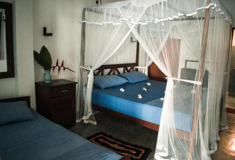 Трехместный Номер Базовый, Dream Cabana