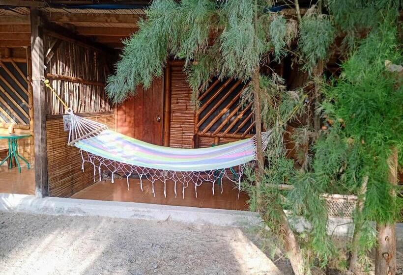 اتاق استاندارد, Guacamayo Bed & Breakfast