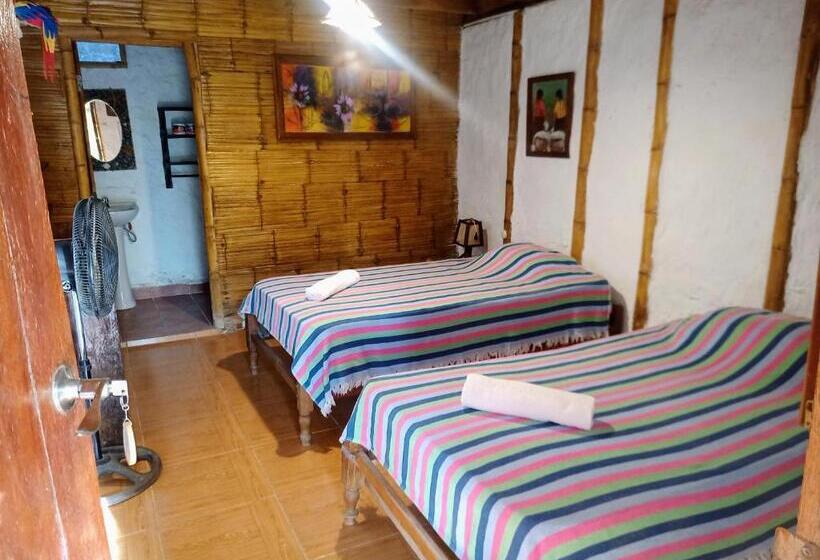 اتاق استاندارد, Guacamayo Bed & Breakfast